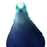 PigeonNet