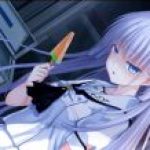 无情的galgame收集器