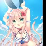 miaowu