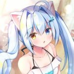lan